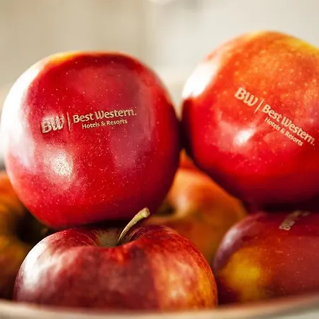 Otel Western Loftstyle Stuttgart-zuffenhausen 3*