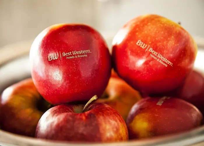 Hotel Western Loftstyle Stuttgart-zuffenhausen 3*